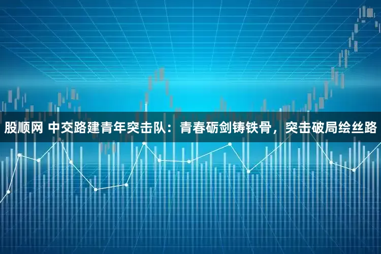 股顺网 中交路建青年突击队：青春砺剑铸铁骨，突击破局绘丝路