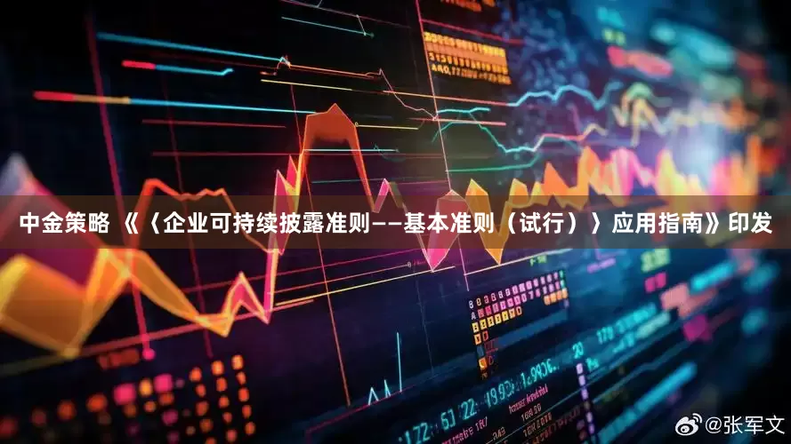 中金策略 《〈企业可持续披露准则——基本准则（试行）〉应用指南》印发