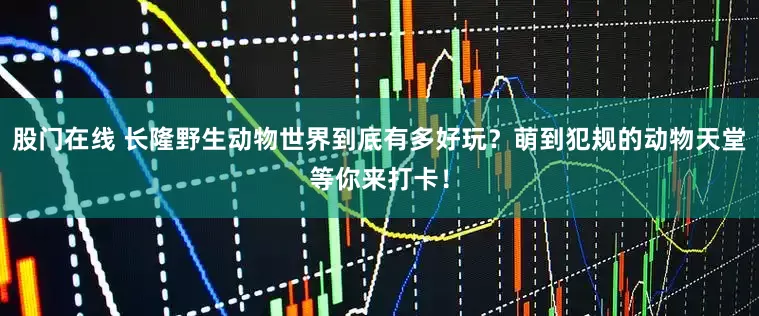 股门在线 长隆野生动物世界到底有多好玩？萌到犯规的动物天堂等你来打卡！