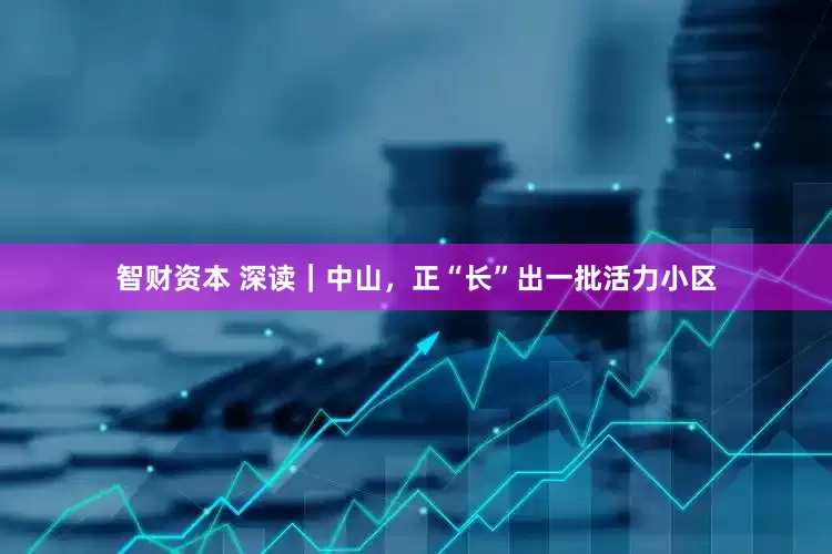 智财资本 深读｜中山，正“长”出一批活力小区